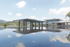 推出便博得了“史